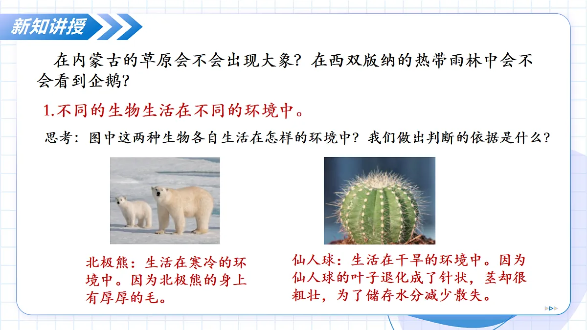 17256758第6页