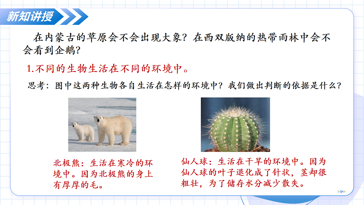 17256758第6页