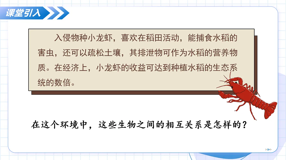 17256759第5页