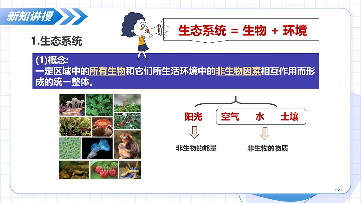 17256759第7页