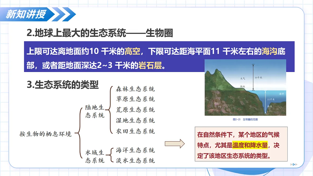 17256759第8页