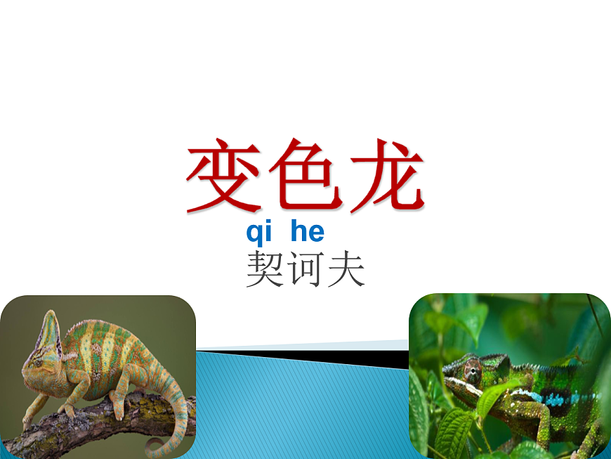 17257214第1頁