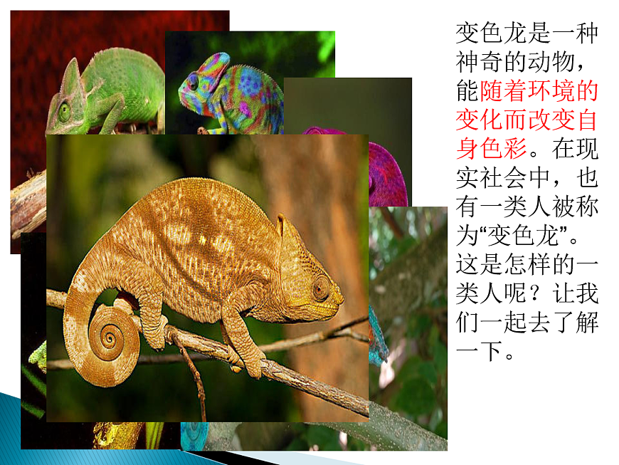17257214第5頁