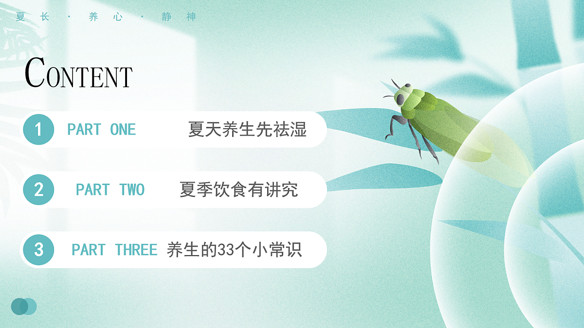 17257861第2页