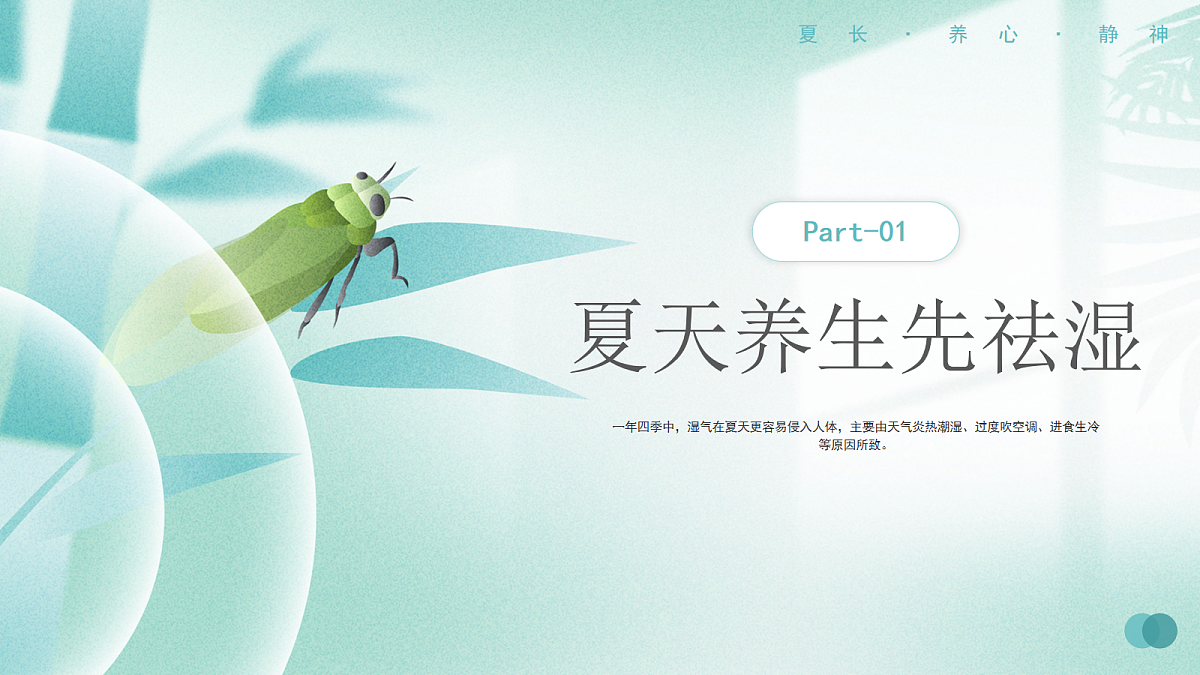 17257861第3页