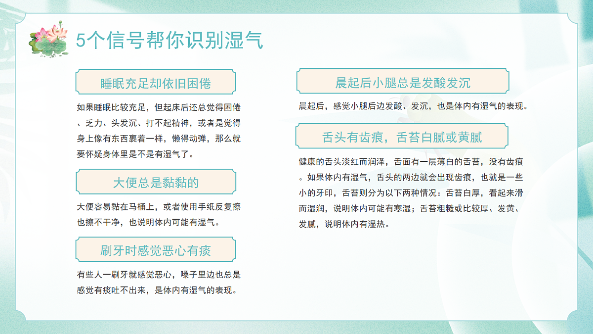 17257861第5页