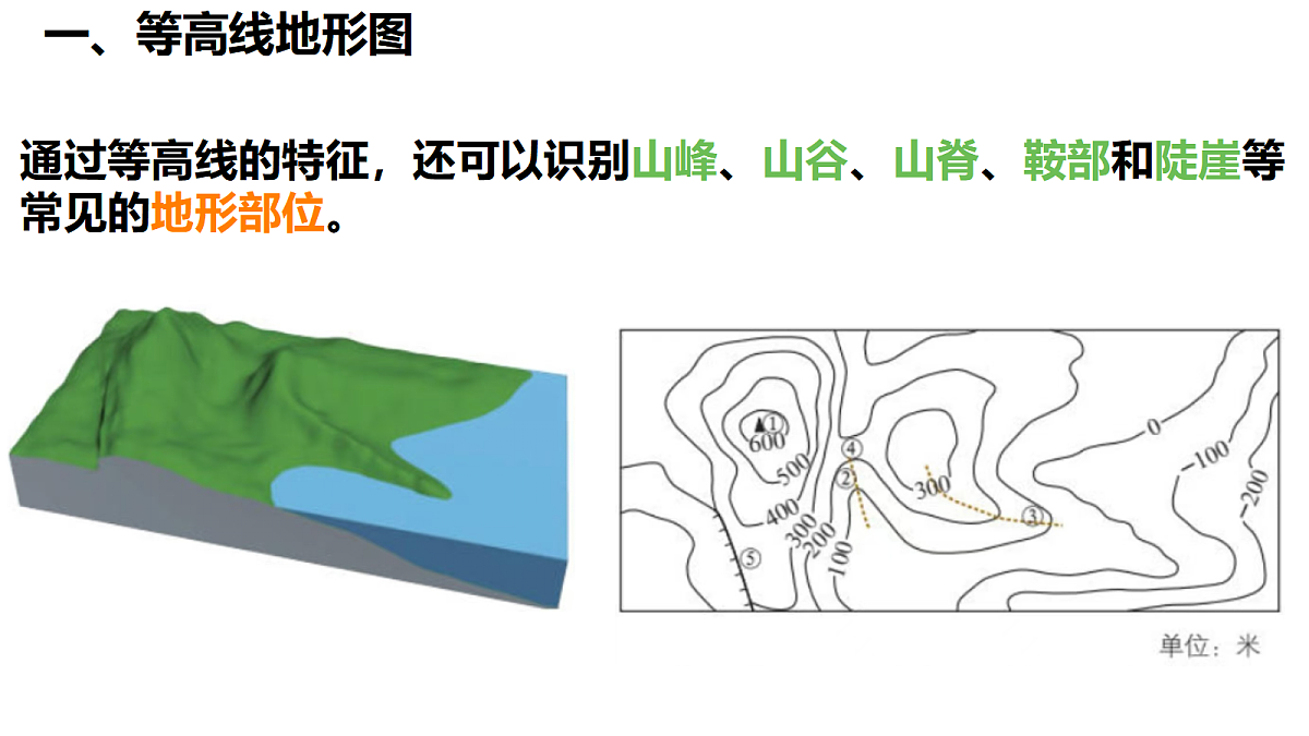 17258402第7页