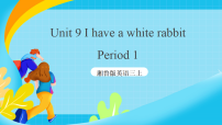 小学英语湘鲁版（2024）三年级上册（2024）Unit 9 I have a white rabbit优质ppt课件