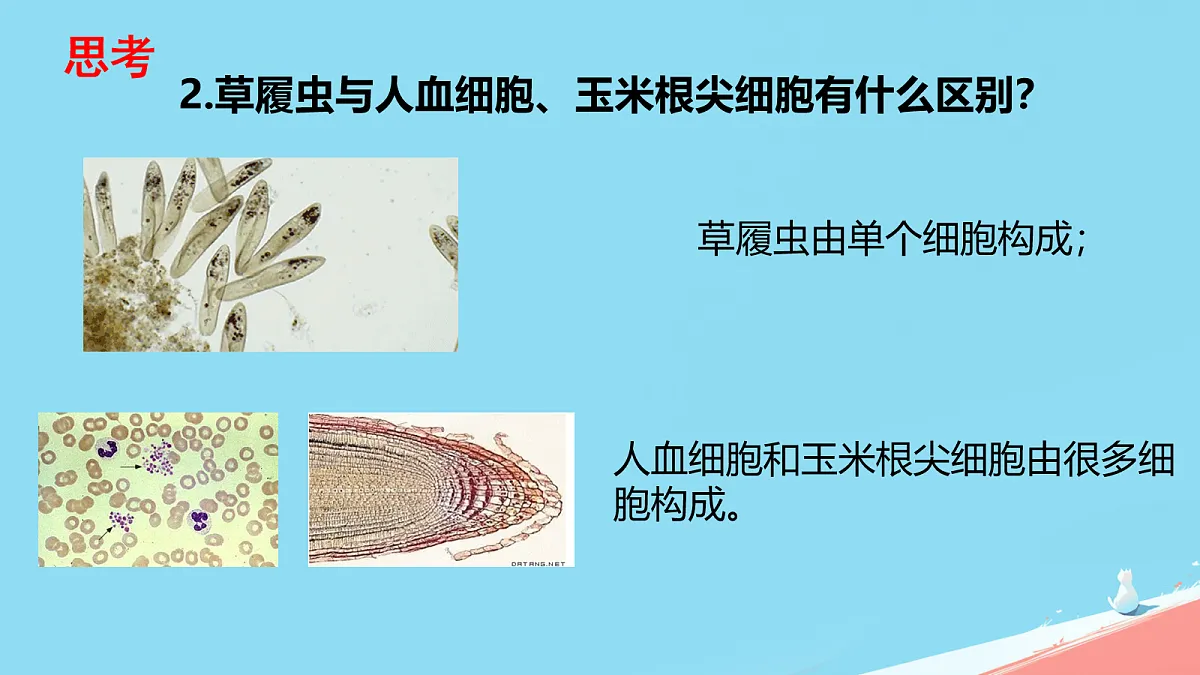 17259532第6页