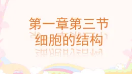 初中  生物  冀少版（2024）  七年級上冊（2024）  第一單元 生物體的結(jié)構(gòu)層次  第一章 細(xì)胞第三節(jié) 細(xì)胞的結(jié)構(gòu) 課件