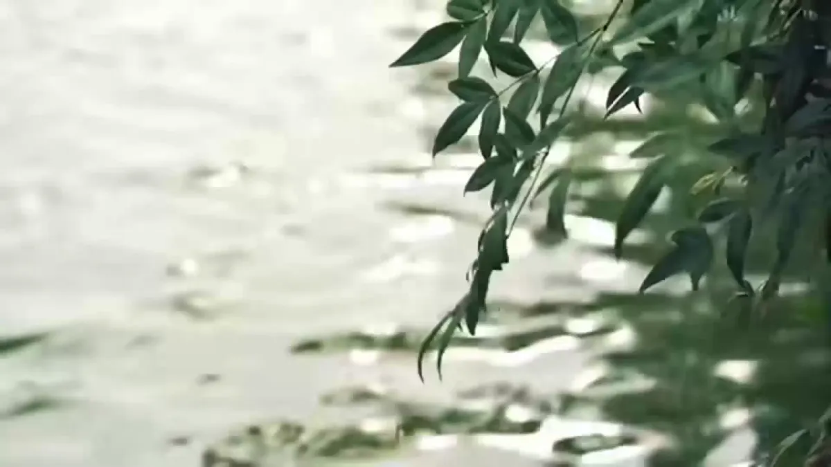 17259813第1页