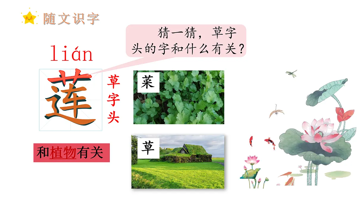 17259813第7页