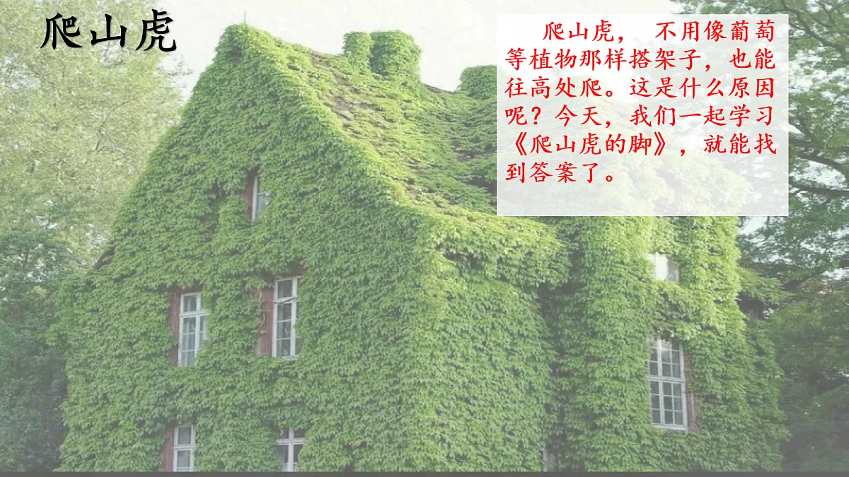 17259973第5页