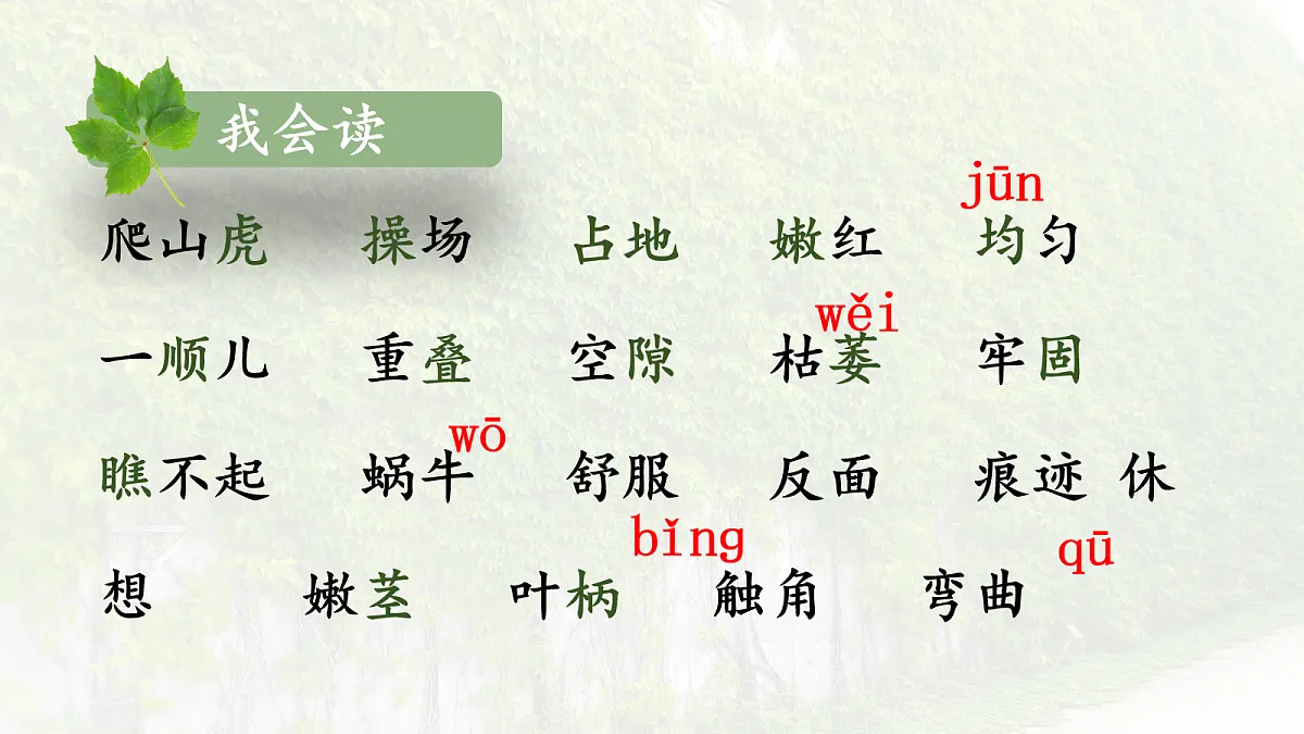 17259973第8页