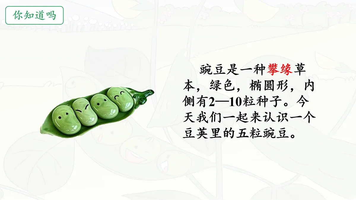17259976第3页