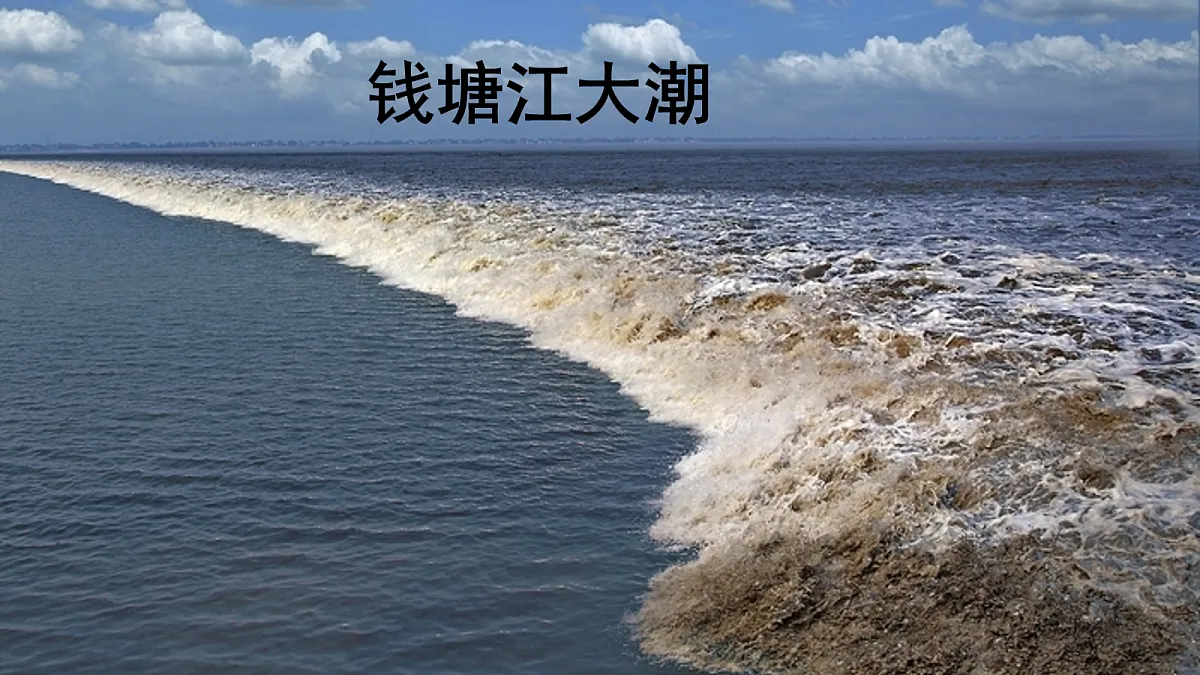 17259979第2页