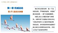 人教版（2024）速度的测量教学ppt课件
