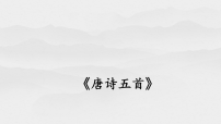 初中语文人教部编版（2024）八年级上册（2024）第三单元14 唐诗五首使至塞上/王维教学课件ppt