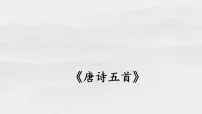 初中语文人教部编版(2024)八年级上册(2024)第三单元14 唐诗五首使至塞上/王维教学课件ppt