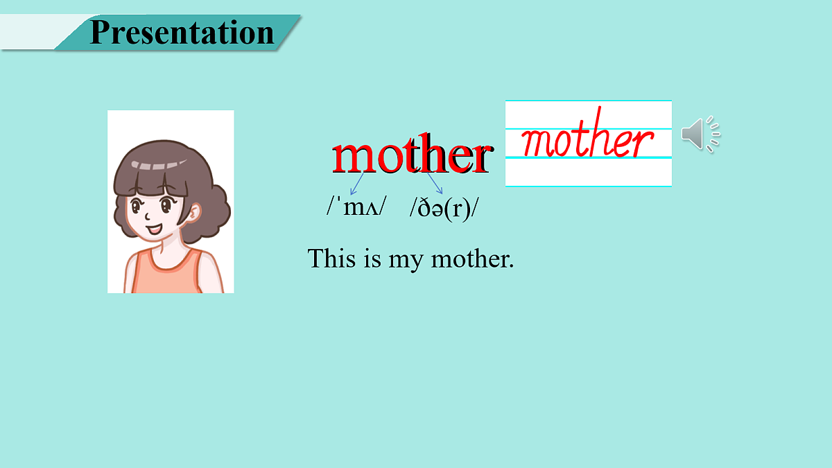 17260446第8页