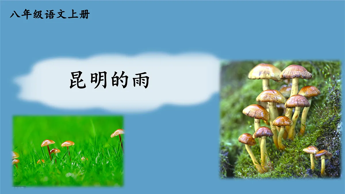 17260613第1页