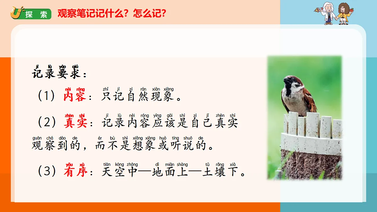 17261682第5页