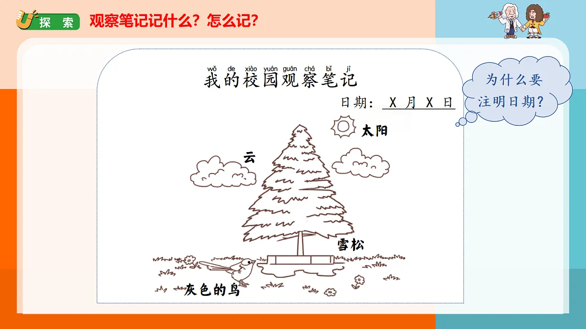17261682第6页