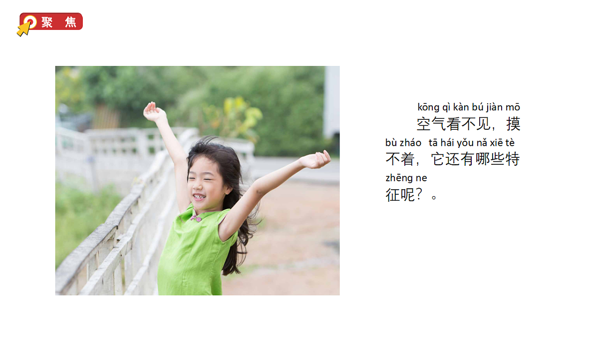 17264102第2页