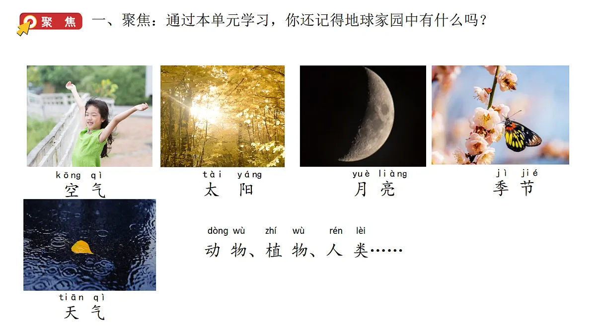 17264106第2页