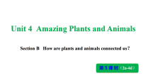 初中英语人教版（2024）八年级上册（2024）Unit 4 Amazing Plants and Animals Section B Project说课ppt课件