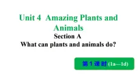 初中英语Unit 4 Amazing Plants and Animals Section A 1a-1d评课ppt课件