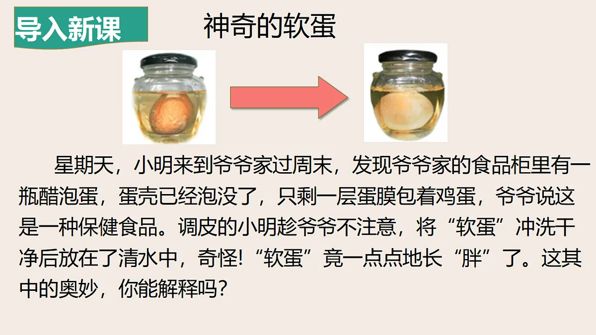 17264369第4页