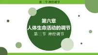生物八年级上册（2024）第二节 神经调节教课课件ppt