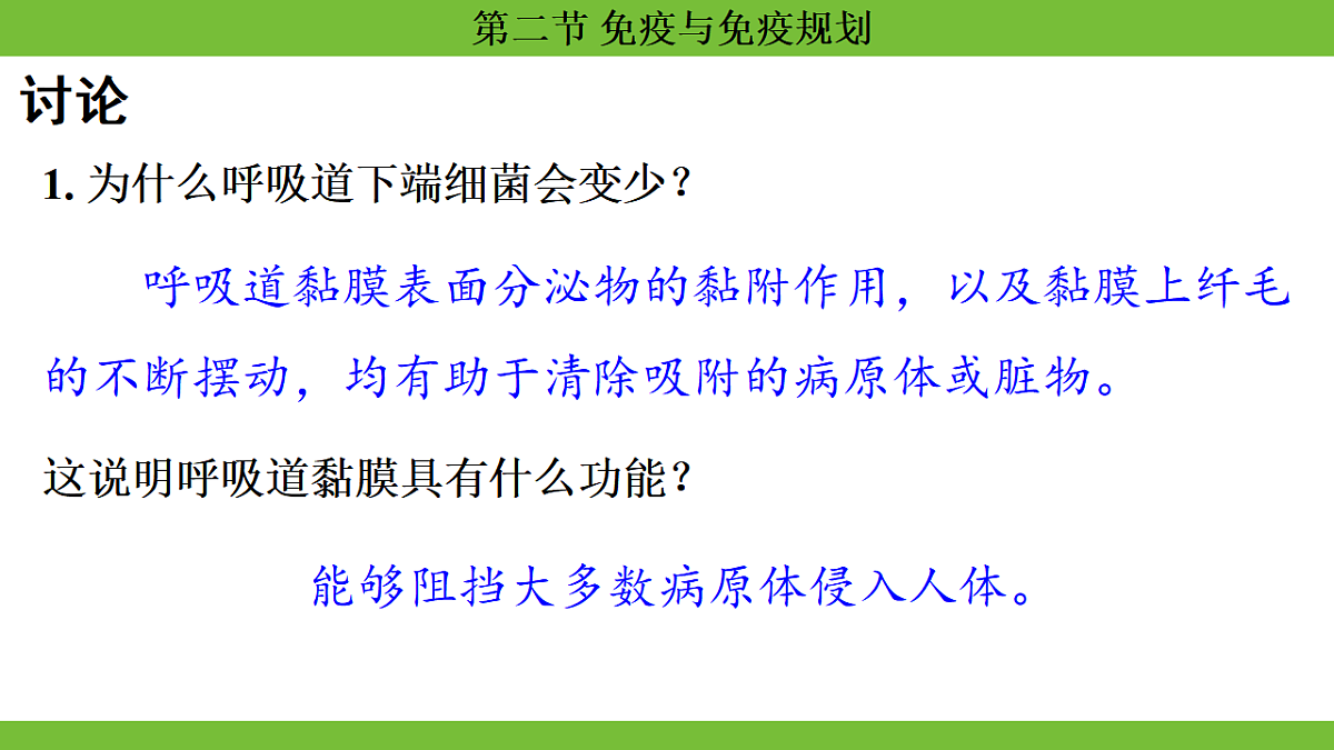 17264405第6页