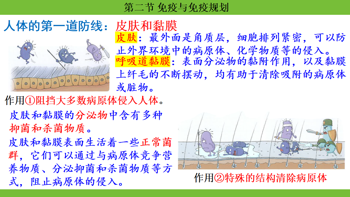 17264405第7页