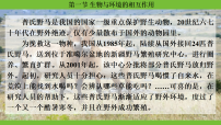 初中生物人教版（2024）八年级上册（2024）第一节 生物与环境的相互作用课文ppt课件