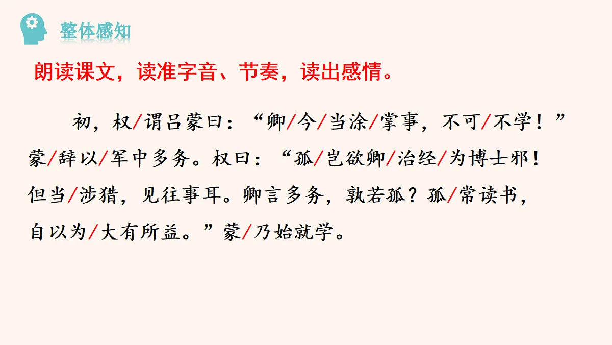17264474第8页