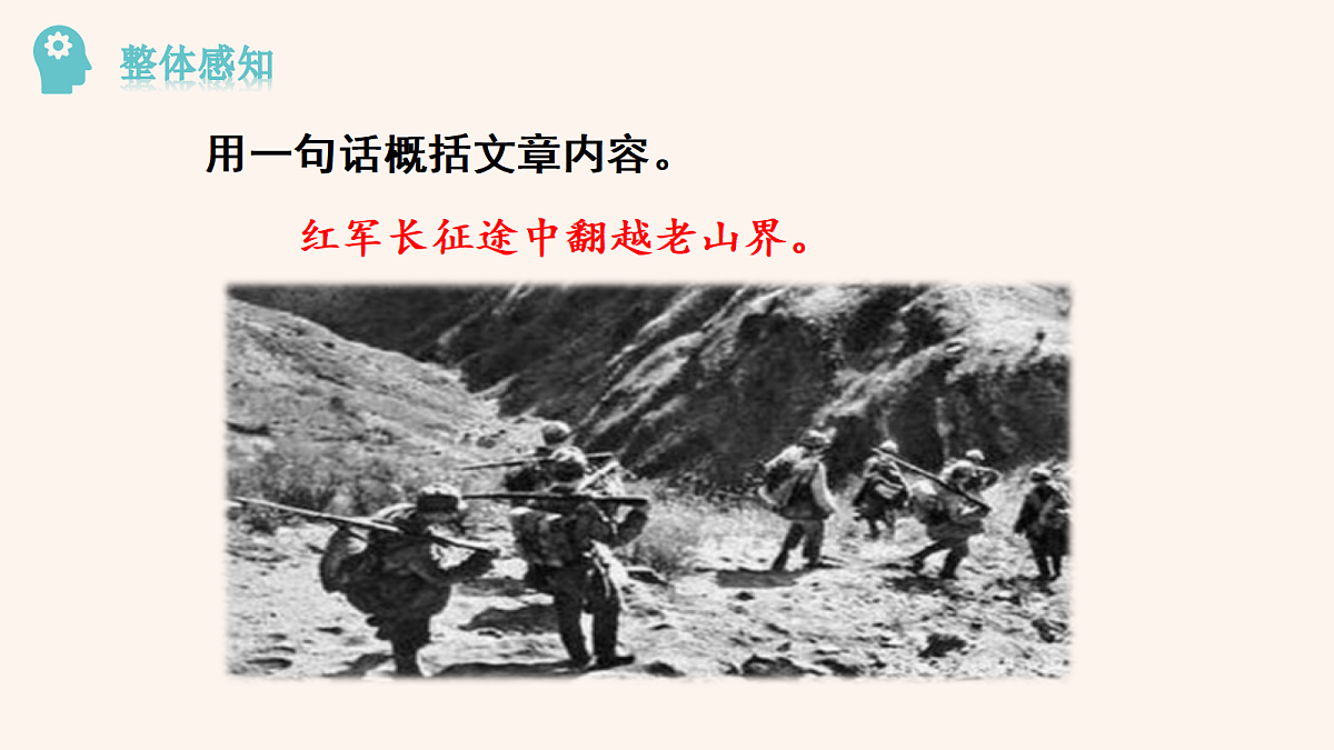 17264475第8页