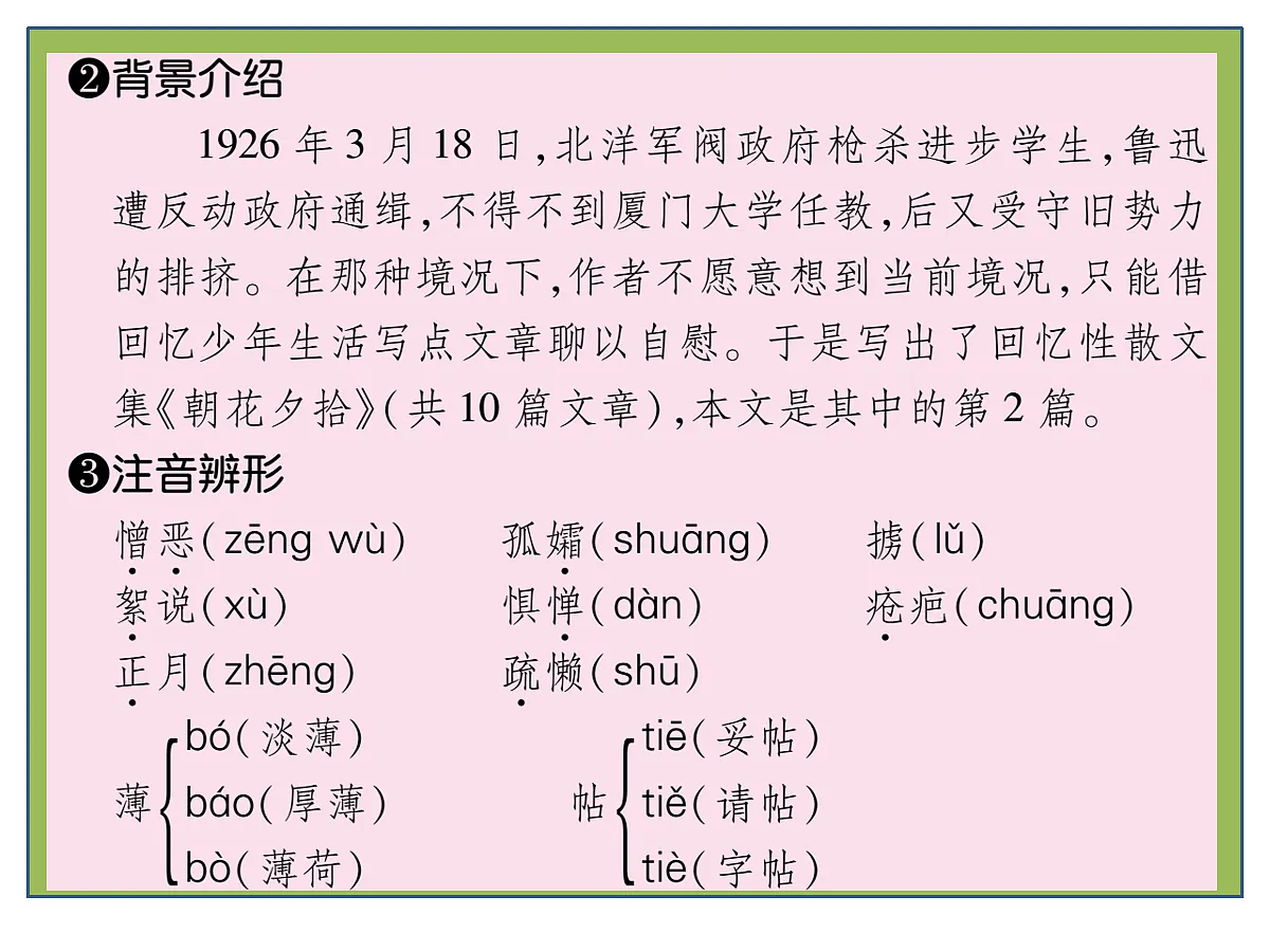 17264476第5页