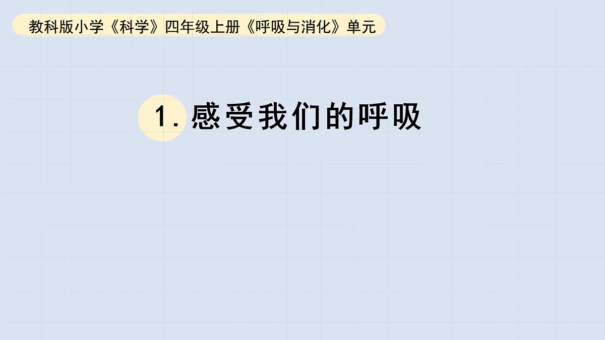 17265307第1页