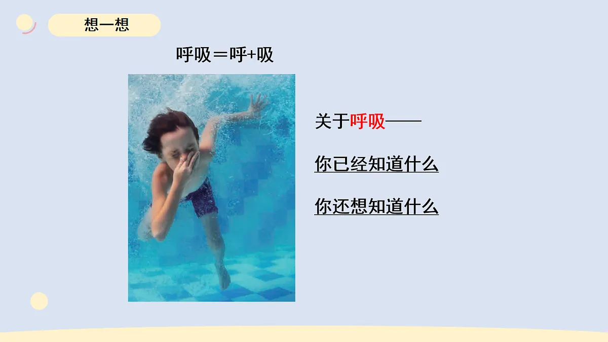 17265307第2页