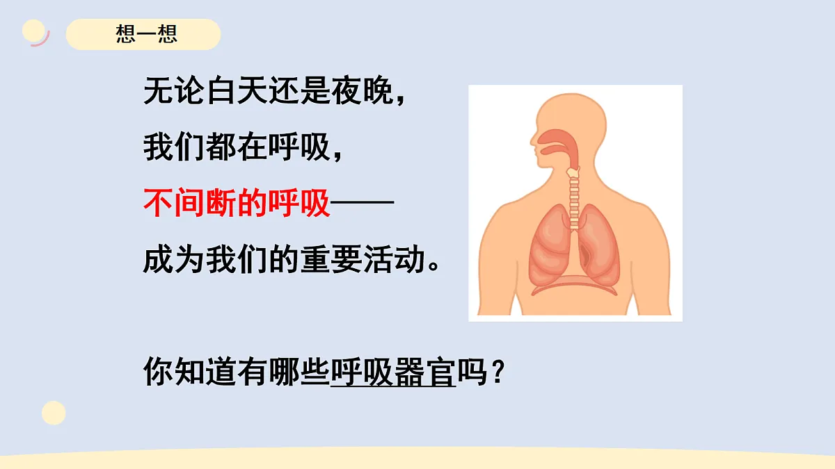 17265307第3页