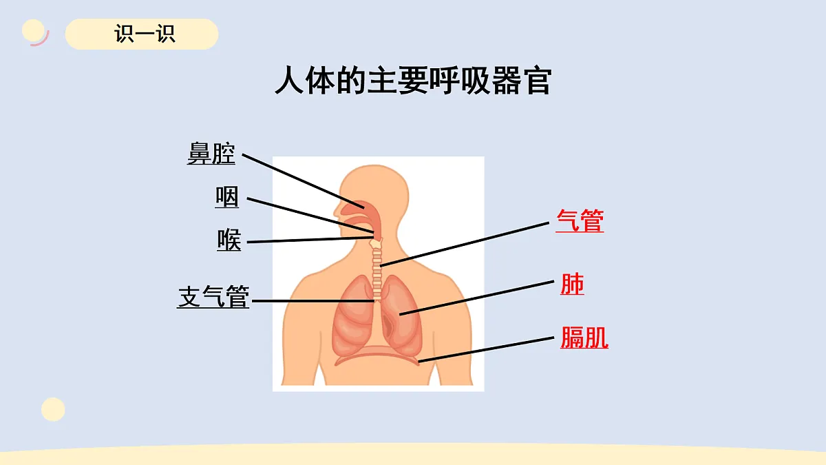 17265307第4页