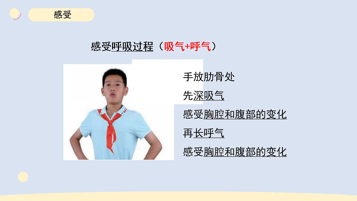 17265307第5页