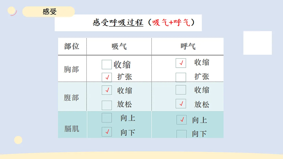 17265307第6页