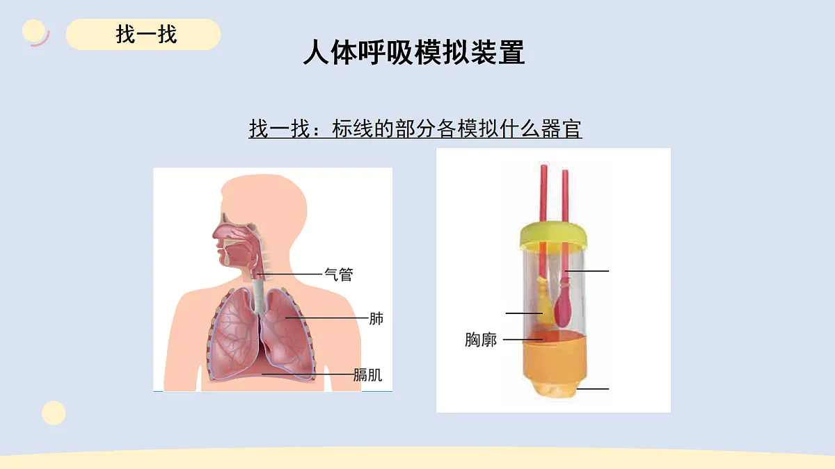 17265307第7页