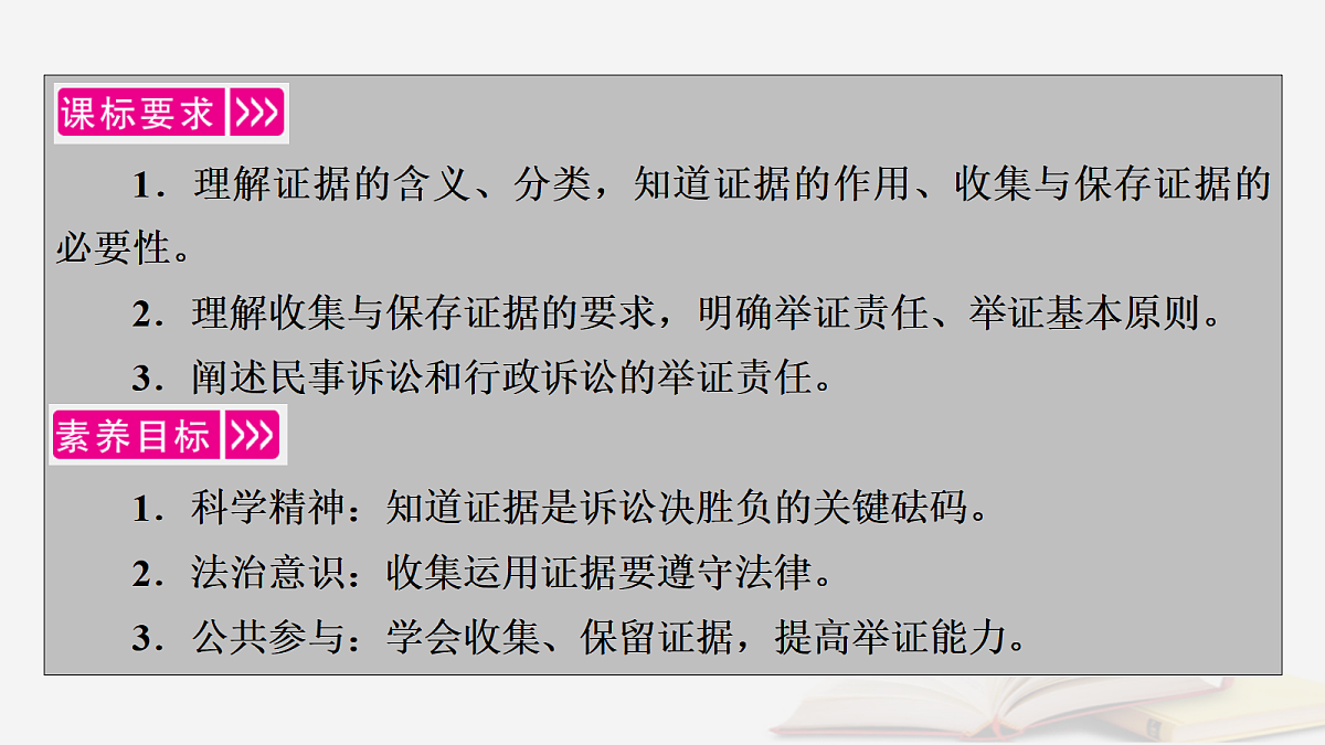17265393第5页