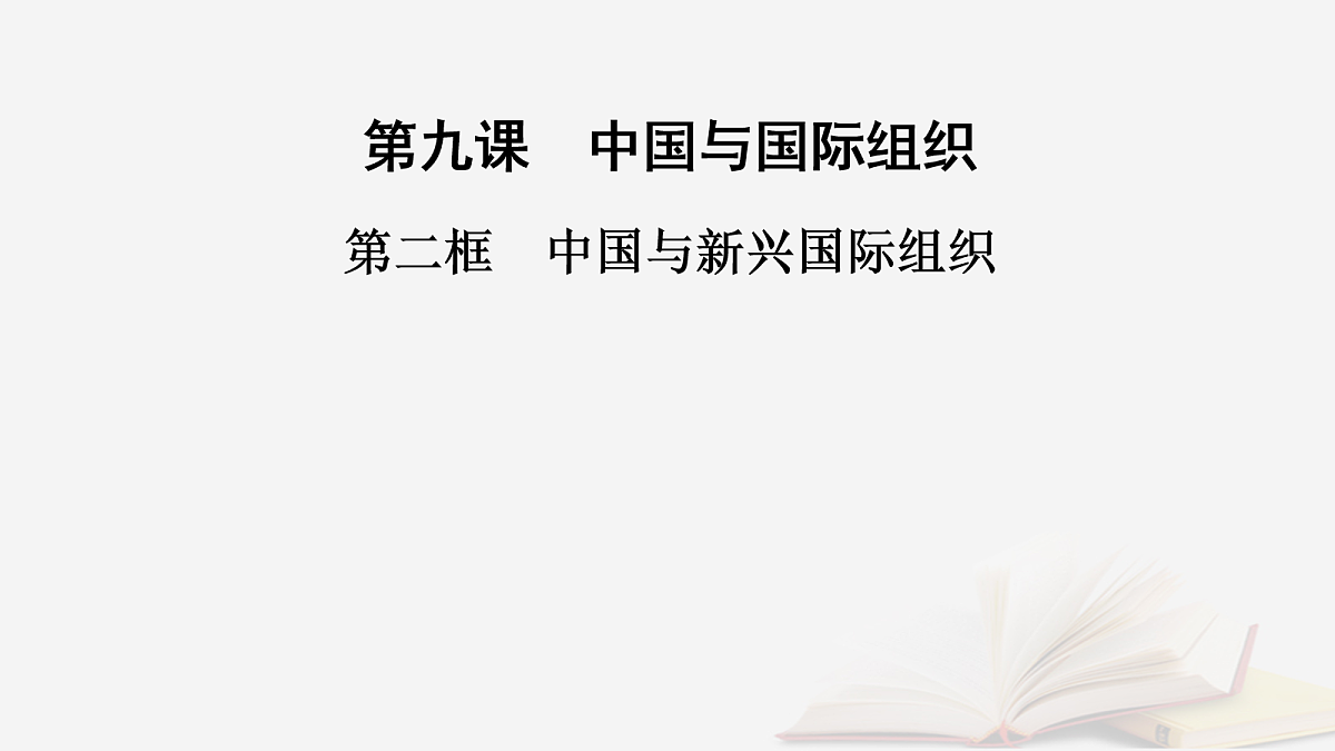 17265395第2页