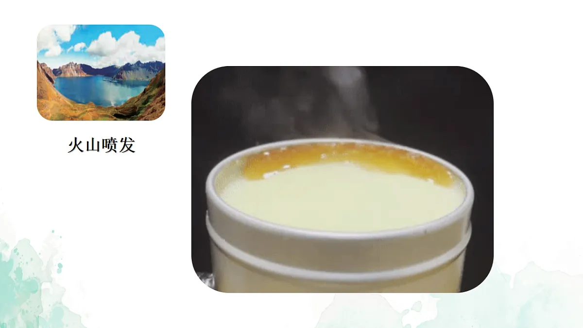 17265513第5页