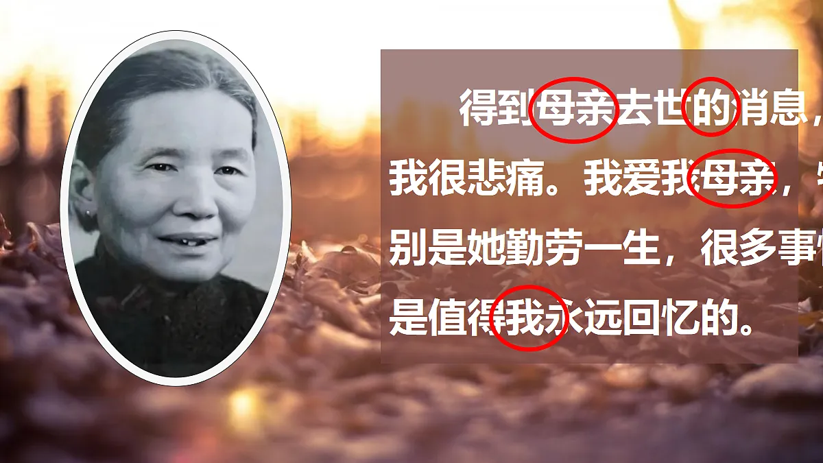 17266174第4页